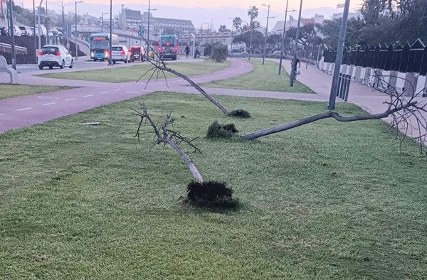 Acto vandálico en la Avenida Unión Europea