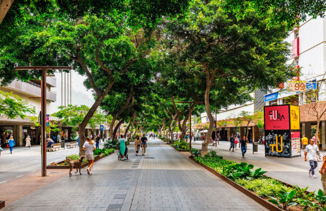 La Feria Km.0 Gran Canaria celebra su 35ª edición en la zona Mesa y López