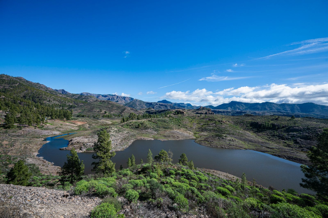 Las presas del Cabildo cuadruplican su volumen de agua embalsada y garantizan el riego del campo grancanario en 2026 y en 2027
