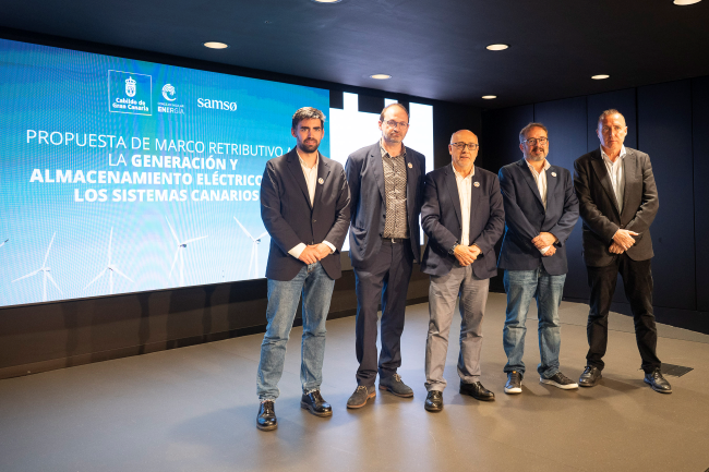 El Cabildo de Gran Canaria demanda un cambio del modelo eléctrico en Canarias por su condición ultraperiférica para potenciar las energías renovables