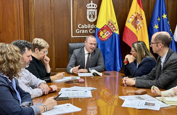 El Cabildo y el Ayuntamiento de Ingenio acuerdan desarrollar de forma coordinada el proyecto de mejora peatonal de la GC-100