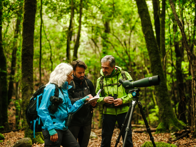 Turismo de Canarias posiciona el destino como referente europeo para la observación de aves