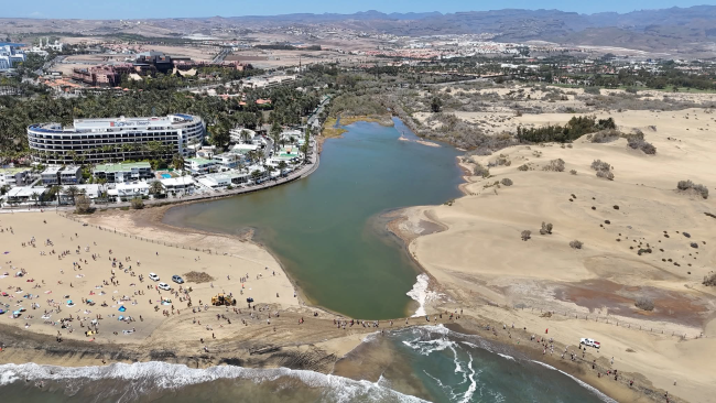La Charca de Maspalomas se regenera tras la borrasca Therese y refuerza su equilibrio ambiental