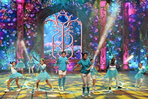 Presentadas las 36 candidaturas del Carnaval Internacional de Maspalomas