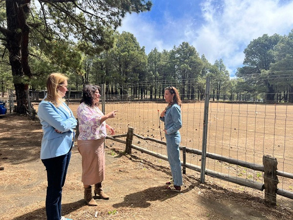 Turismo impulsa en El Pinar, en El Hierro, actuaciones por 3,6 millones de euros con fondos europeos