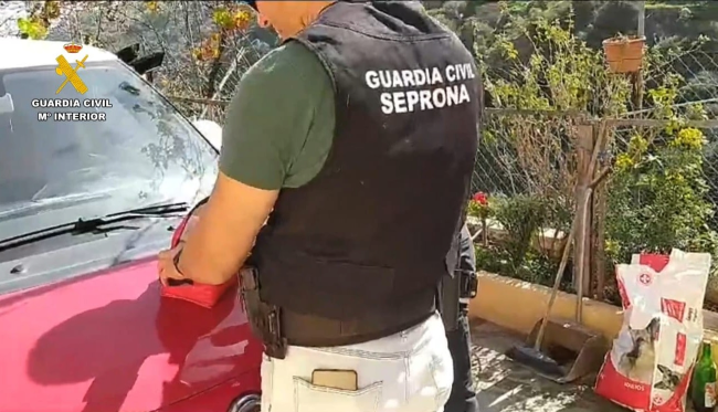 La Guardia Civil investiga a un vecino de Telde por la muerte violenta de cuatro perros
