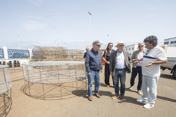 El Cabildo de Gran Canaria reforzará su apoyo a la pesca artesanal para hacer frente “a un año especialmente difícil”
