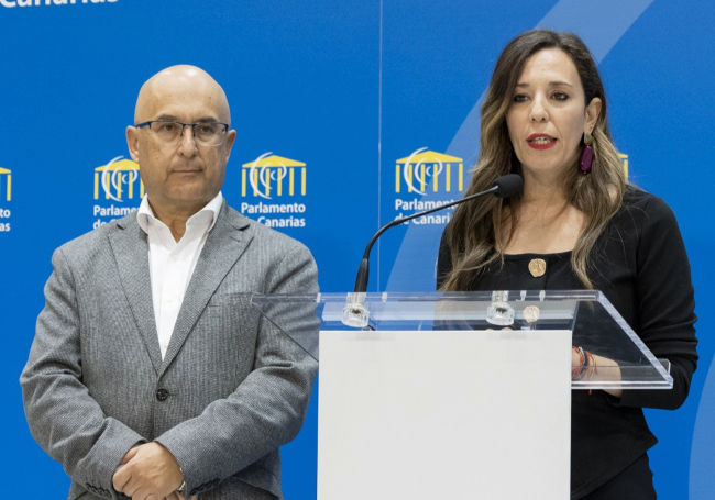 La Justicia avala la actuación del Gobierno de Canarias en la consulta pública sobre la ley de vivienda vacacional