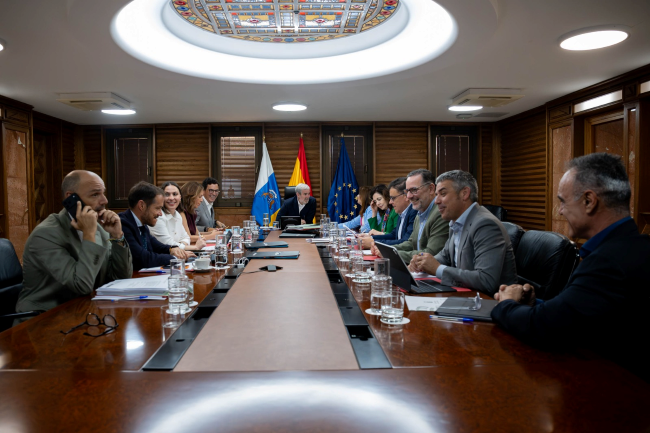El Consejo de Gobierno aprueba el decreto de la Hipoteca Joven Canaria para facilitar el acceso a la primera vivienda