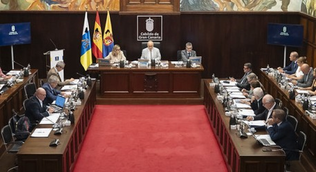 El Cabildo urge al Gobierno canario a dotar de más fondos y personal a la escuela pública para atender al alumnado con necesidades específicas