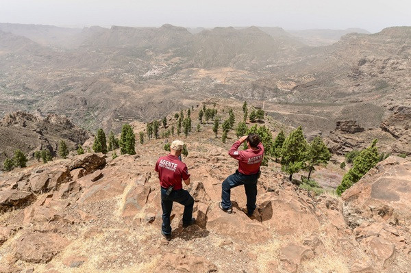 El Cabildo de Gran Canaria declara la alerta por riesgo de incendios forestales por la entrada de una masa de aire cálido de origen africano