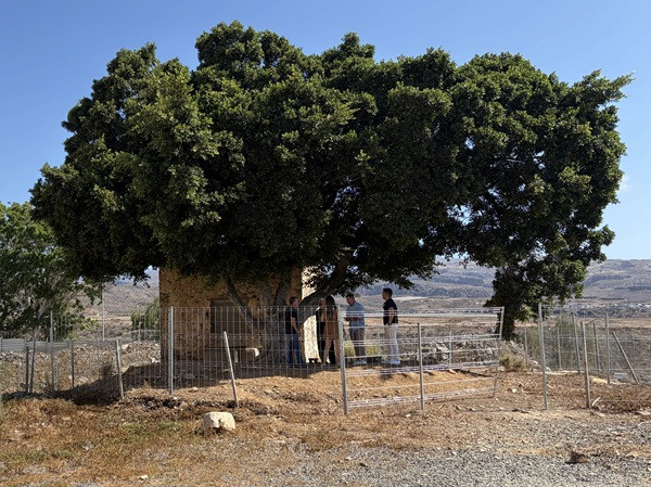 Urbanismo ordena el vallado de la Casa del Mato en El Tablero
