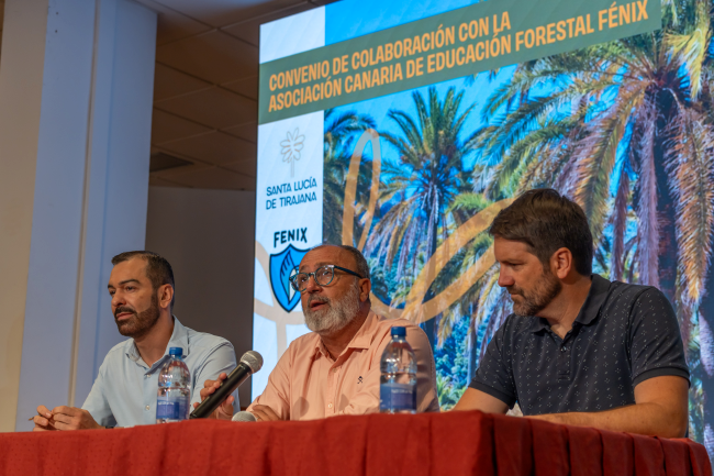 Santa Lucia elaborará un inventario técnico del palmeral de La Sorrueda y organizará actividades para su conservación