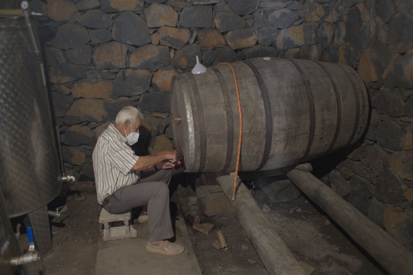 El Cabildo revalida su reconocimiento al esfuerzo de viticultores y bodegueros en el XXX Concurso Oficial de Vinos de Gran Canaria